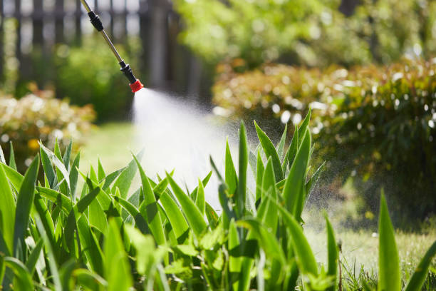24/7 Emergency Fumigation Services experts in Sparta, MO
